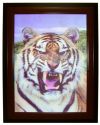 Подарок 3290 / Талисман Года Тигра будет охранять Вас Весь 2010 год. 3D картина Оскал тигра 47 х 37 см.