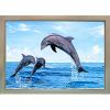 Подарок 3505 / Объёмная 3D картина Летающие дельфины 30 х 40 см.